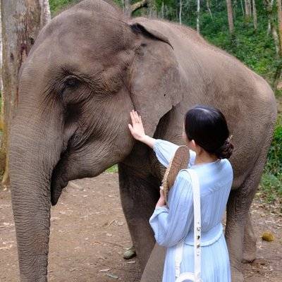 森系模特