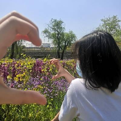 清新模特