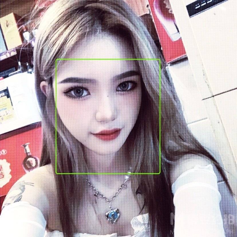 复古模特