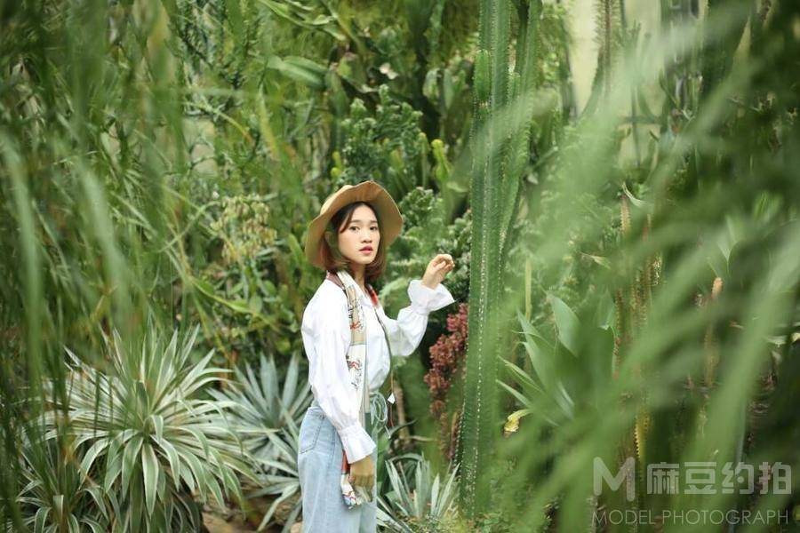 清新模特