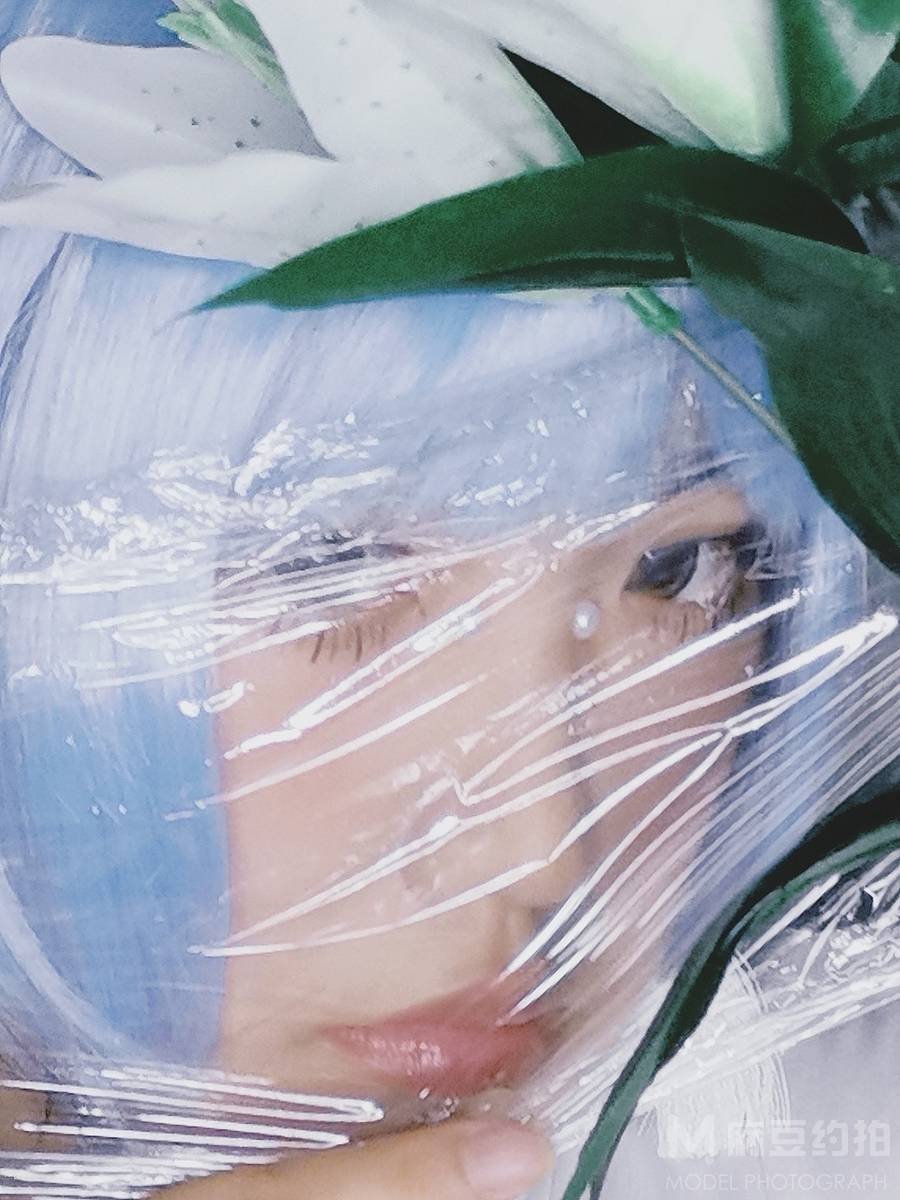 胶片模特