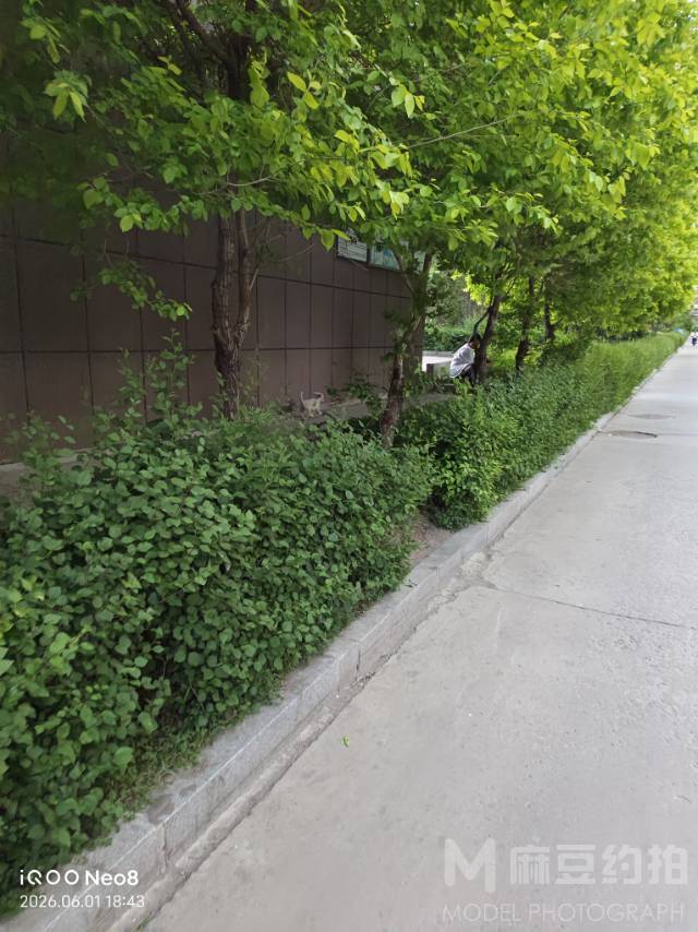 纪实模特