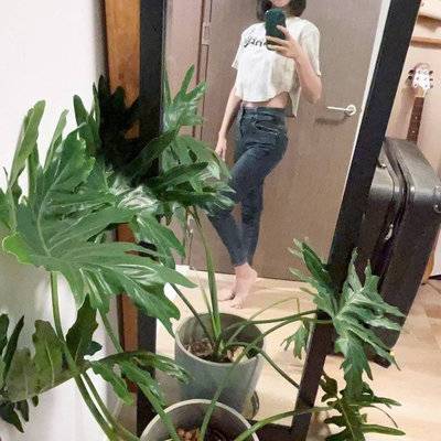 旗袍模特