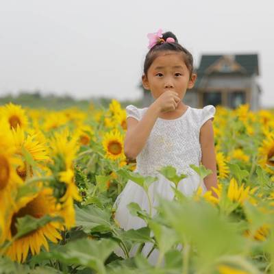 儿童摄影模特