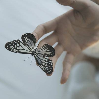 胶片模特