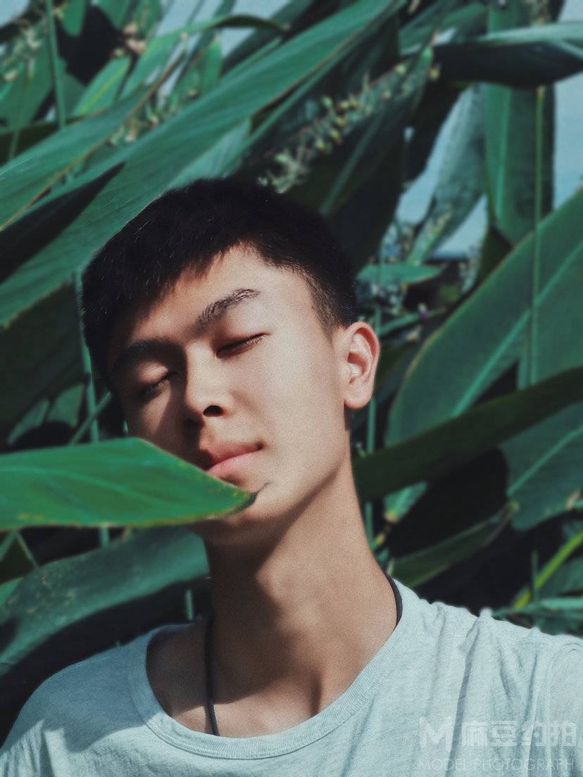 清新模特