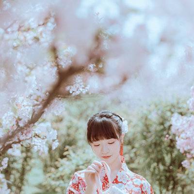 和服模特
