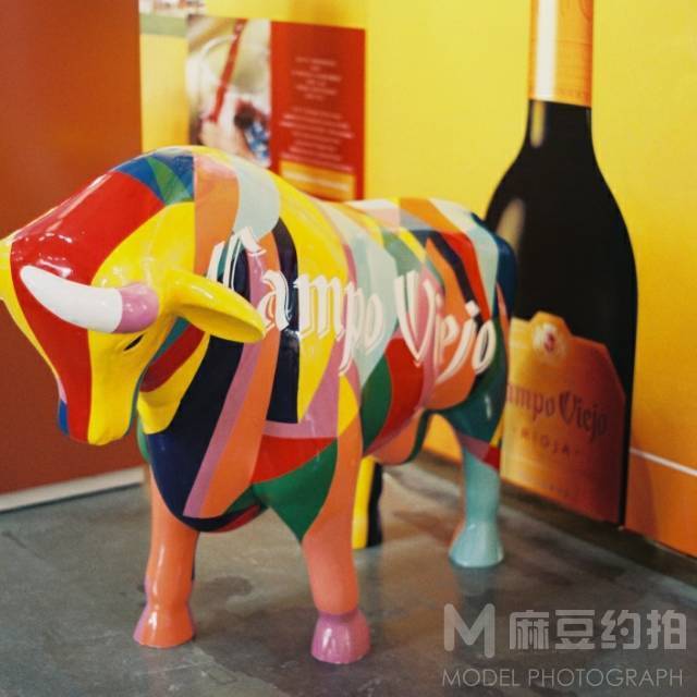 胶片模特