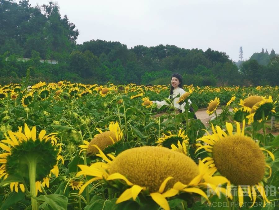 纪实模特