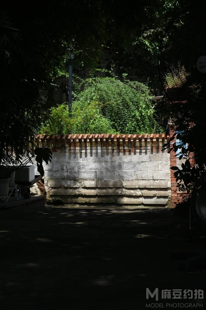 纪实模特