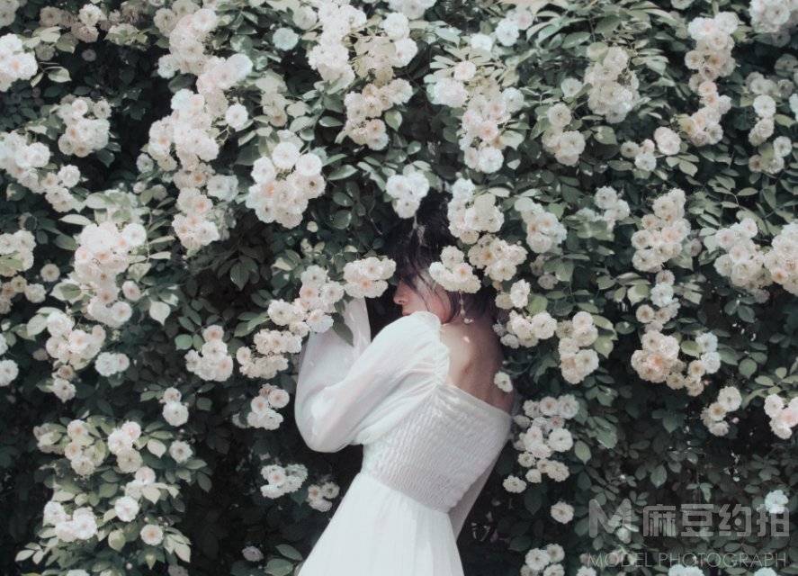 宝丽来模特