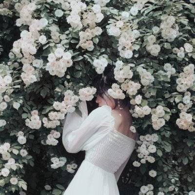 宝丽来模特