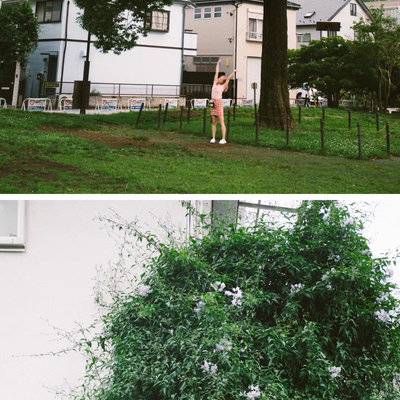 胶片模特