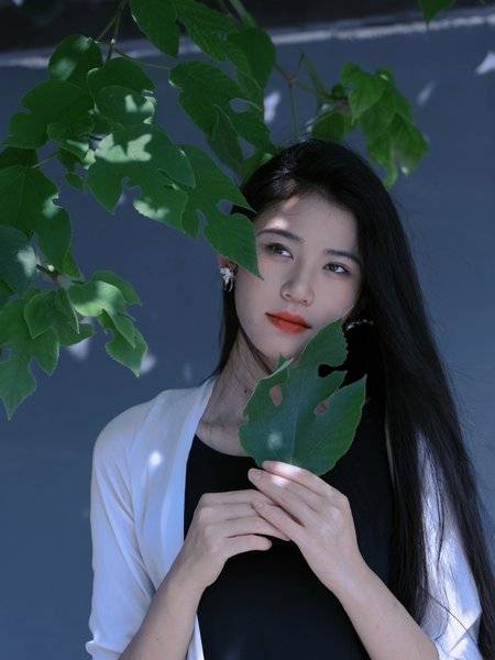 清新模特
