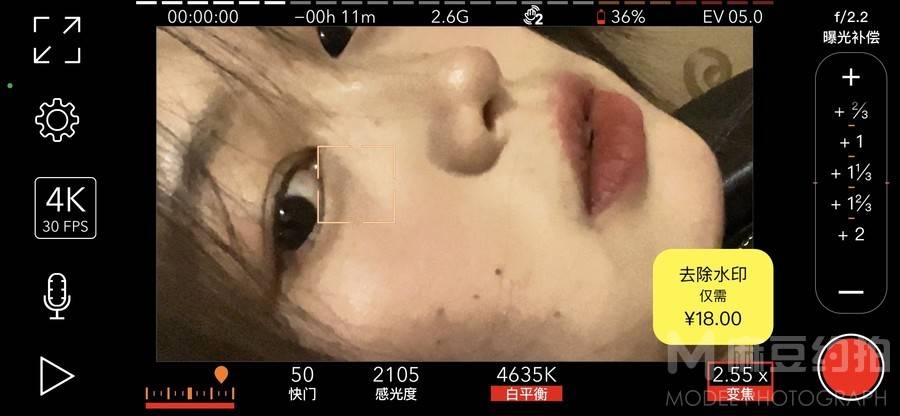 复古模特