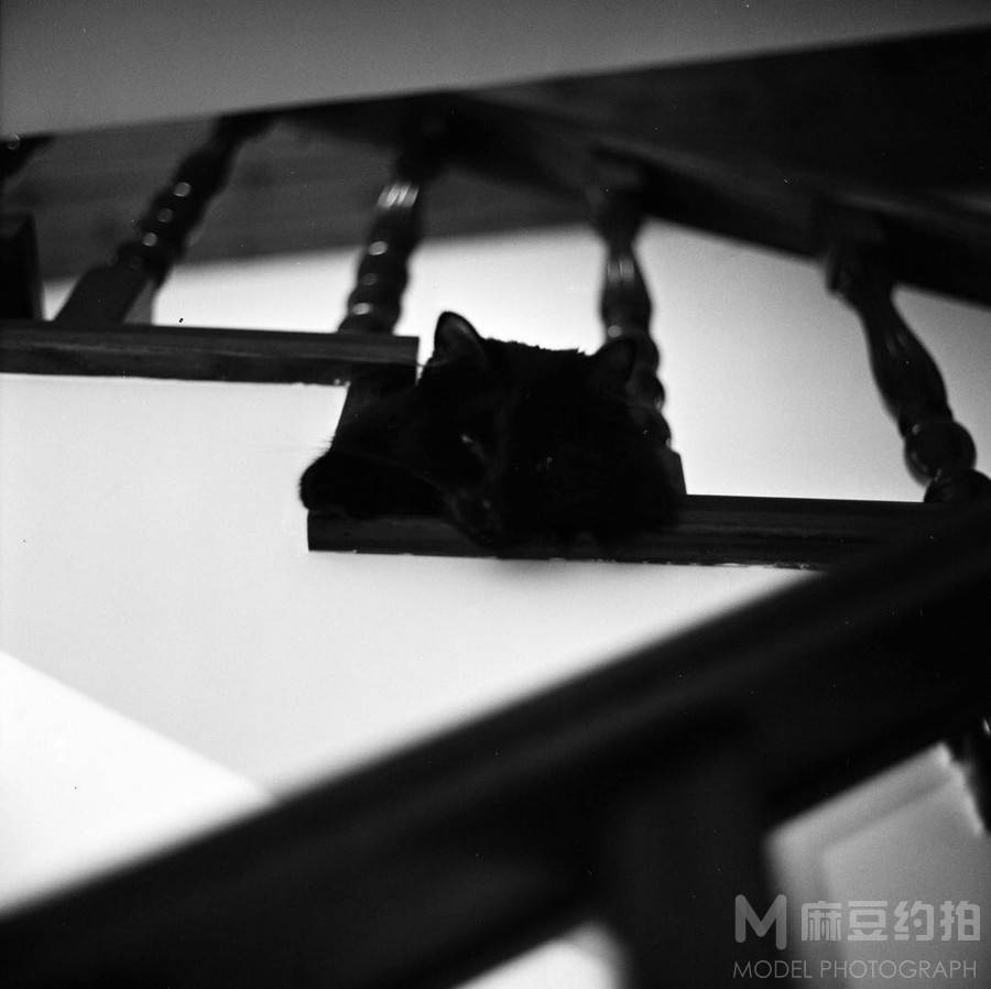 胶片模特