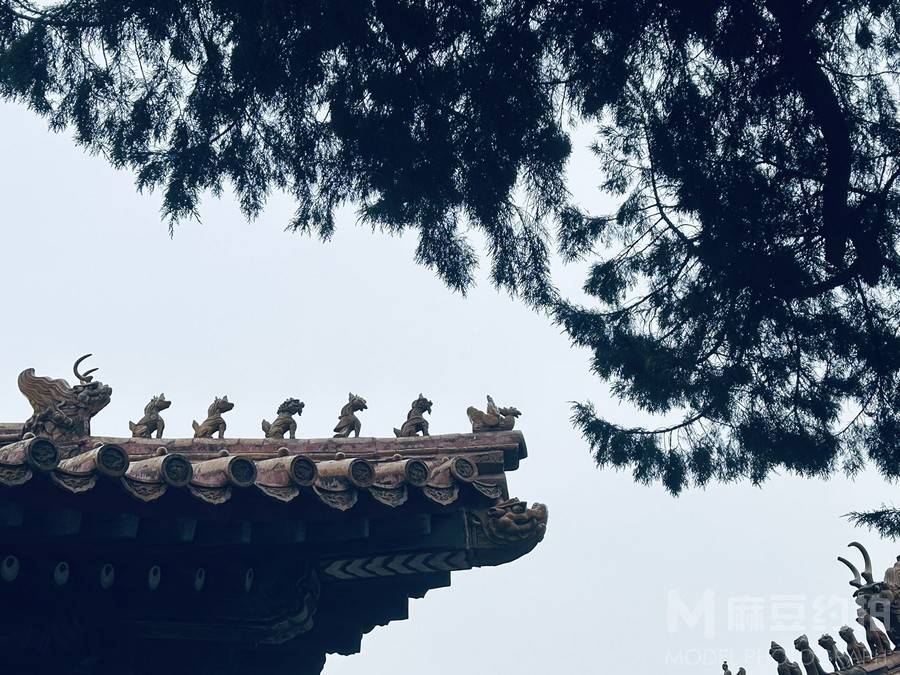 纪实模特
