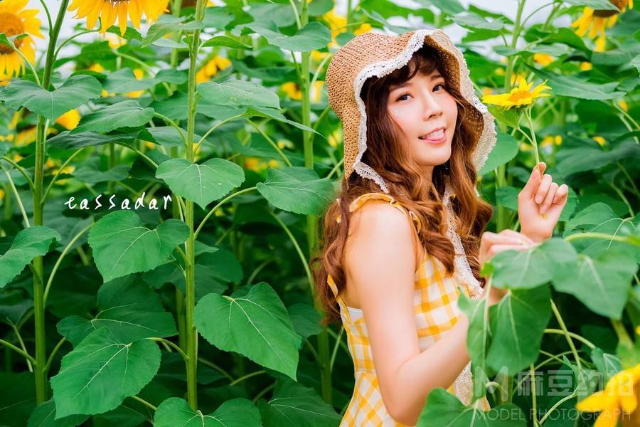 清新模特