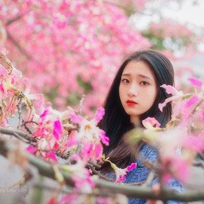 校园模特