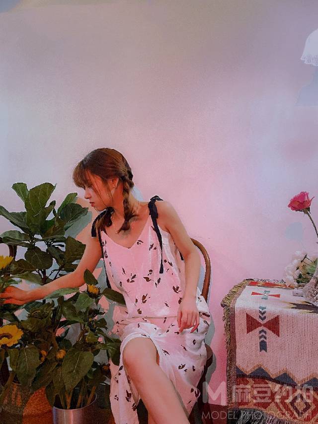 清新模特