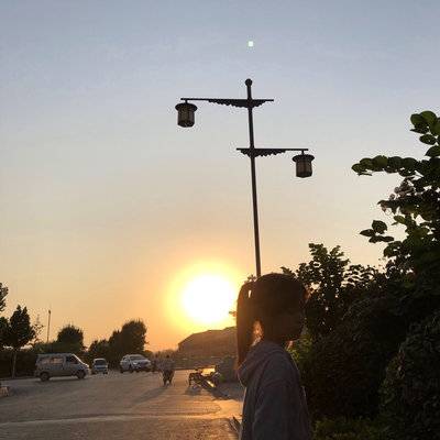 胶片模特