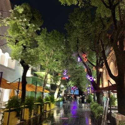 夜景模特