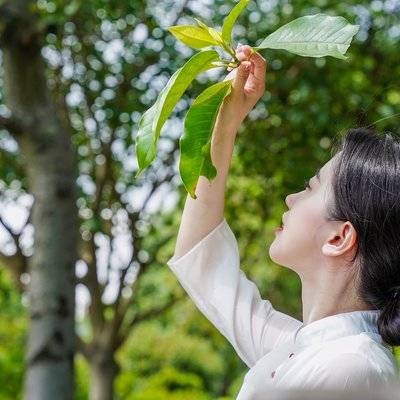 清新模特