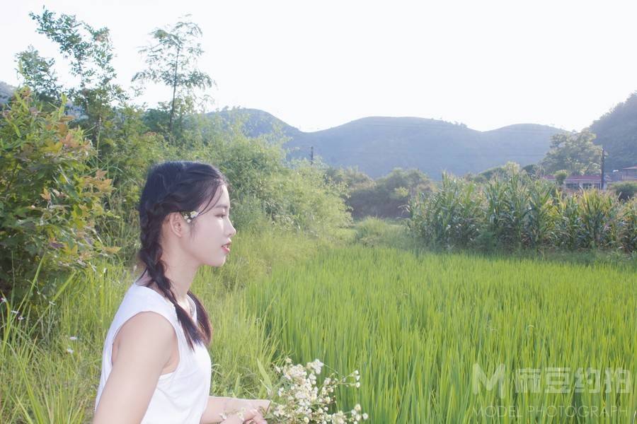 清新模特