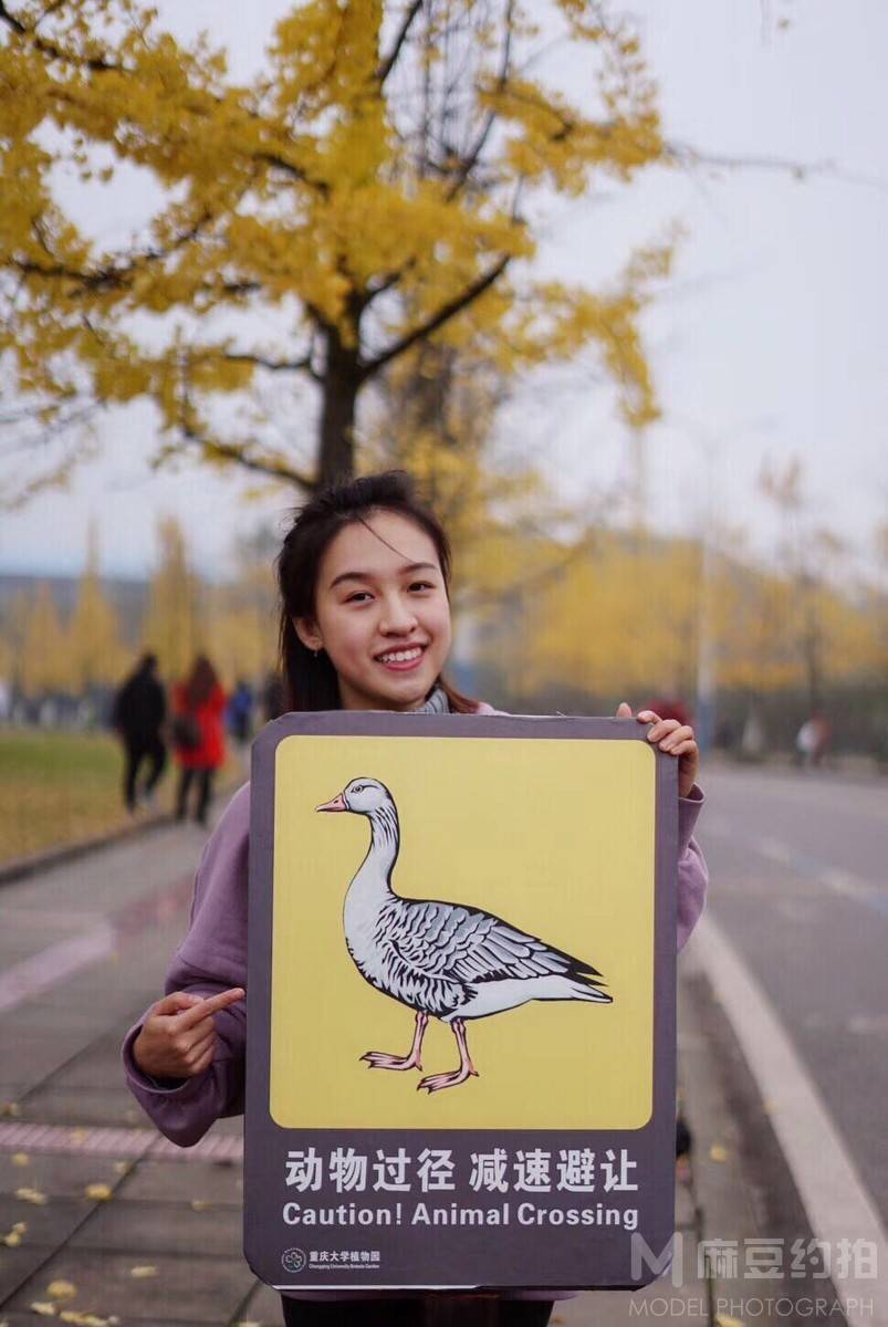 校园模特
