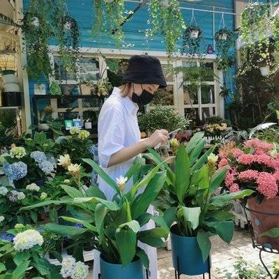 韩系模特