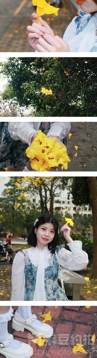 清新模特