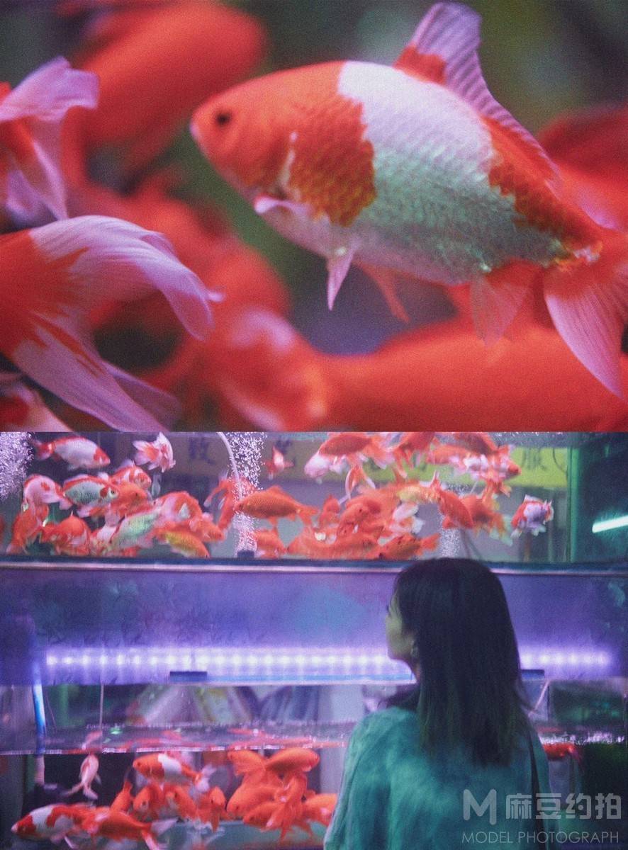 胶片模特