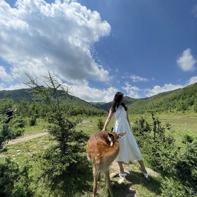 韩系模特