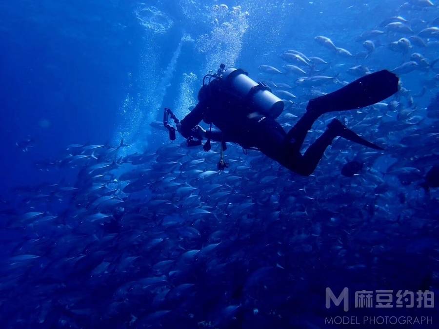 情侣模特