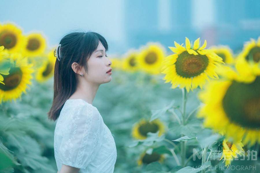 清新模特
