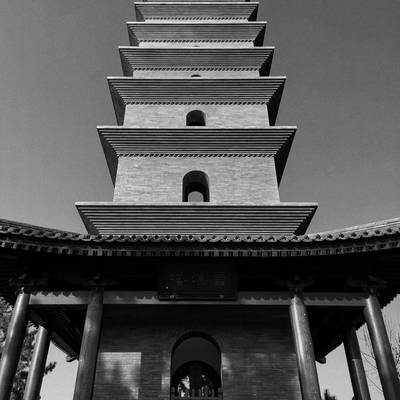 黑白模特