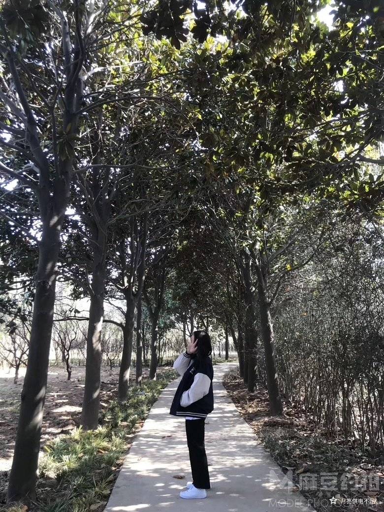胶片模特