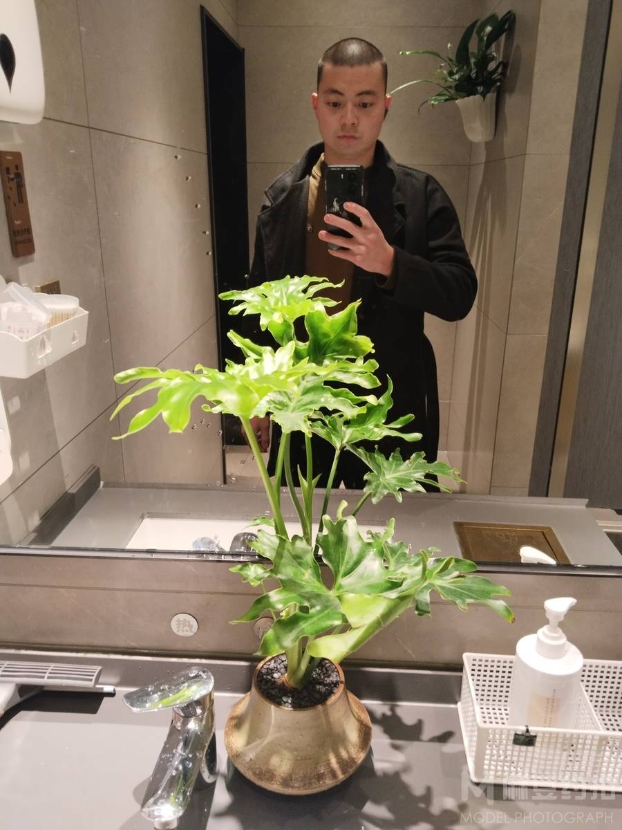 纪实模特