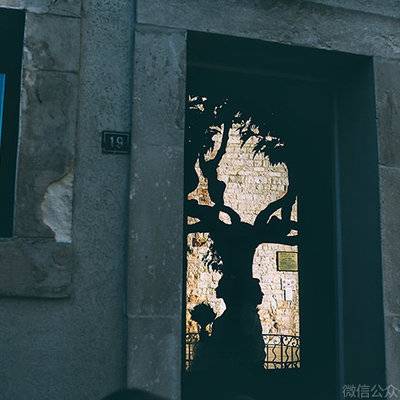 黑白模特