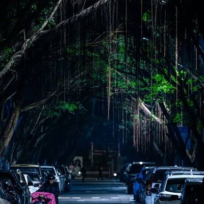 纪实模特