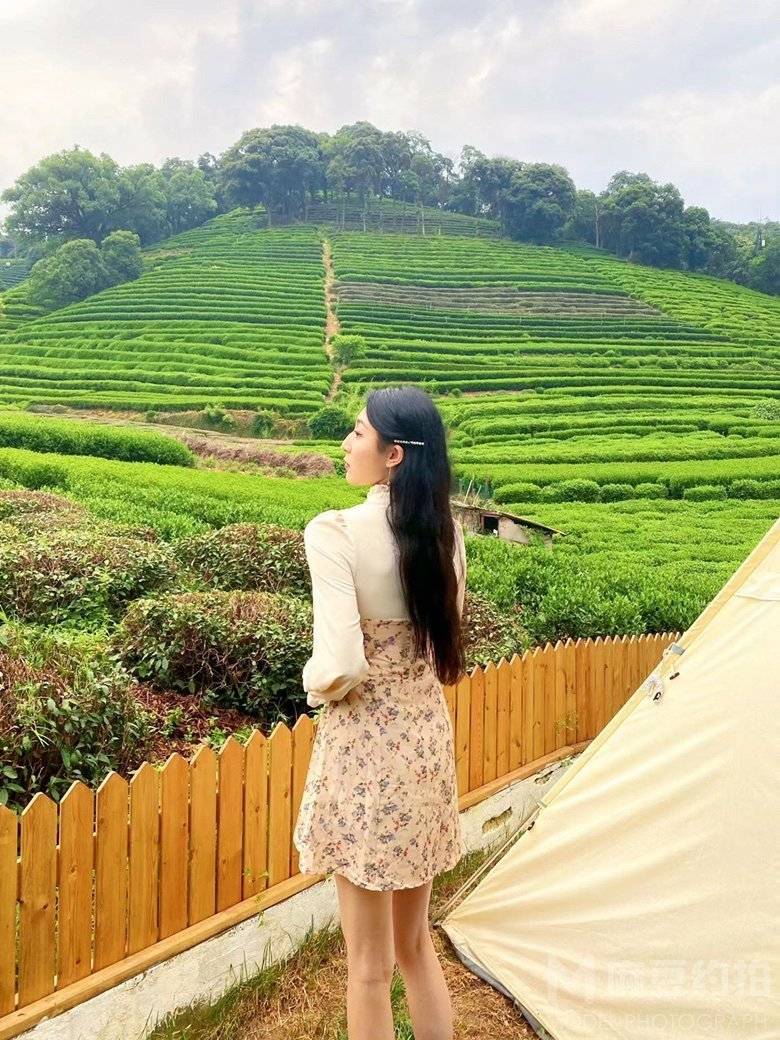 宝丽来模特