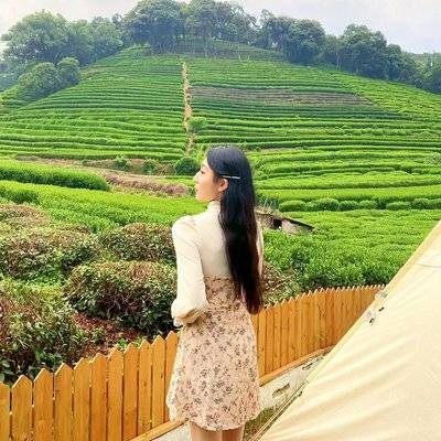 宝丽来模特