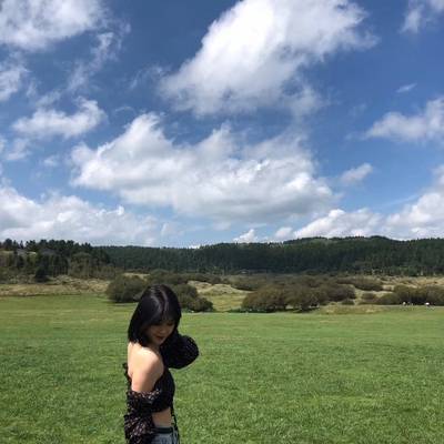 韩系模特
