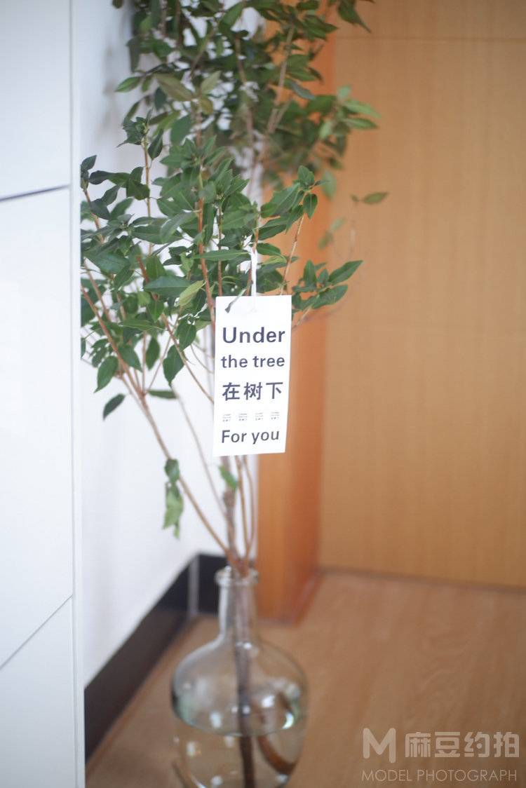 纪实模特