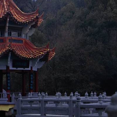 纪实模特