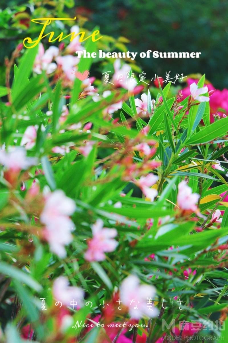 黑白模特
