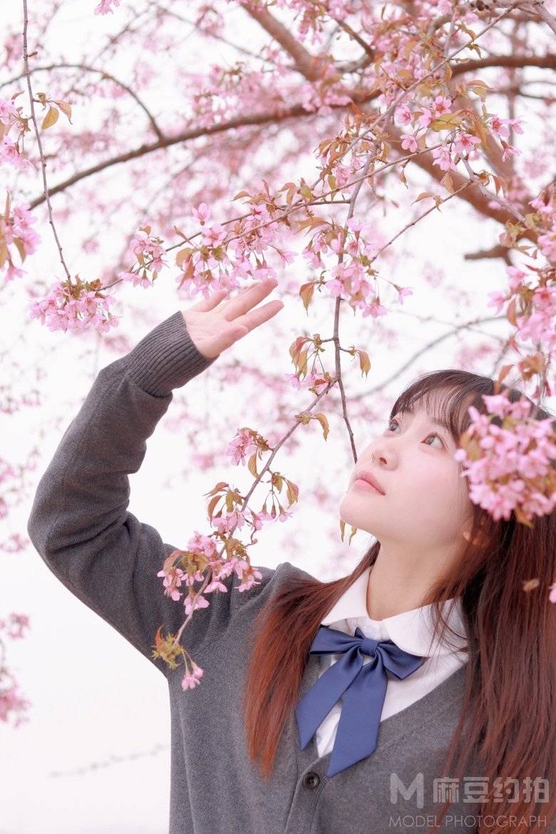校园模特