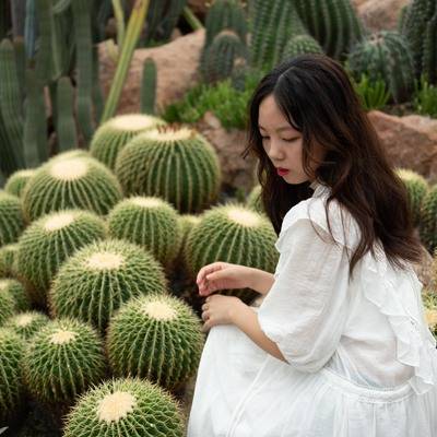 韩系模特