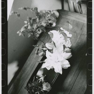 胶片模特