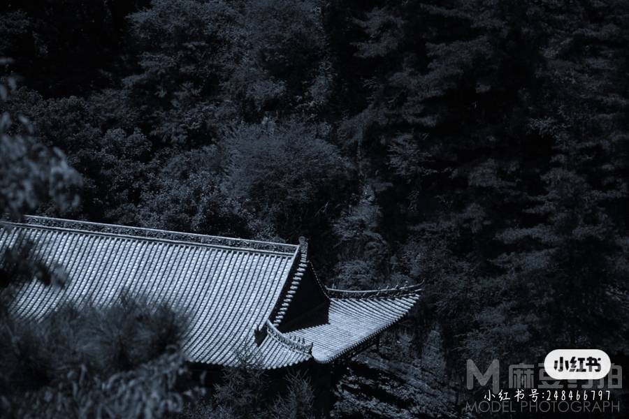 黑白模特